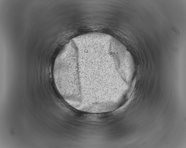 X0000113120182200909251120