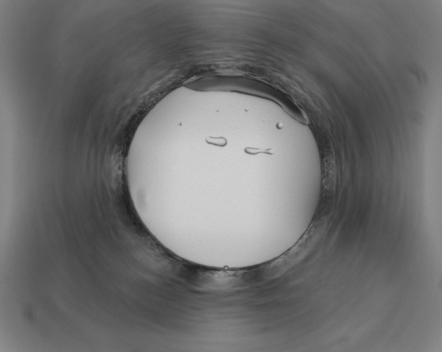 X0000113120184200909251120