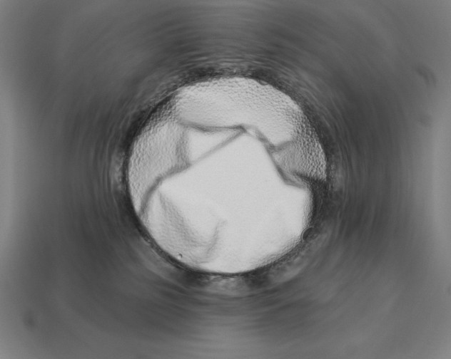 X0000113120185200909251120