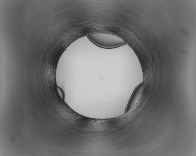 X0000113120186200909251120