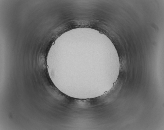 X0000113120187200909251120