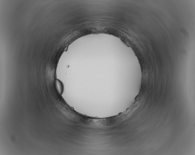 X0000113120188200909251120