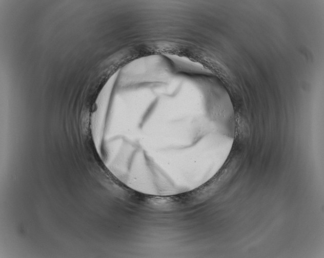X0000113120189200909251120