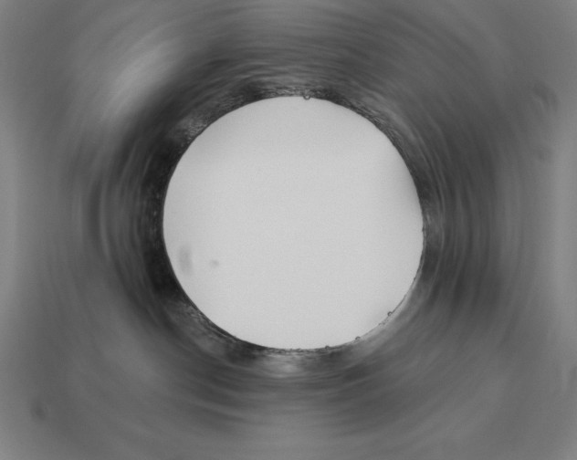 X0000113120190200909251120