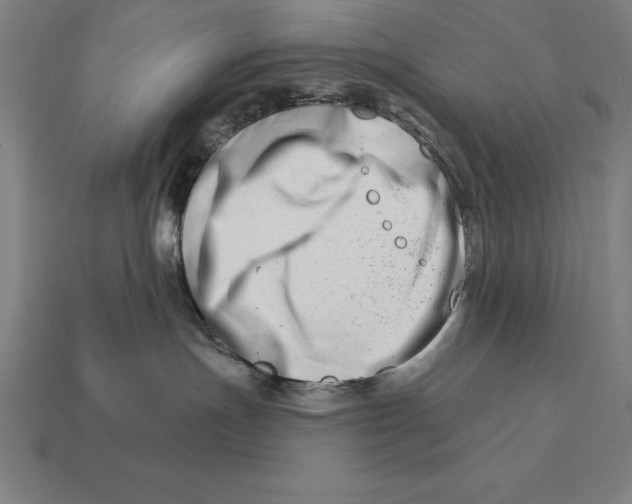 X0000113120191200909251120