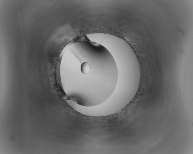 X0000113120192200909251120