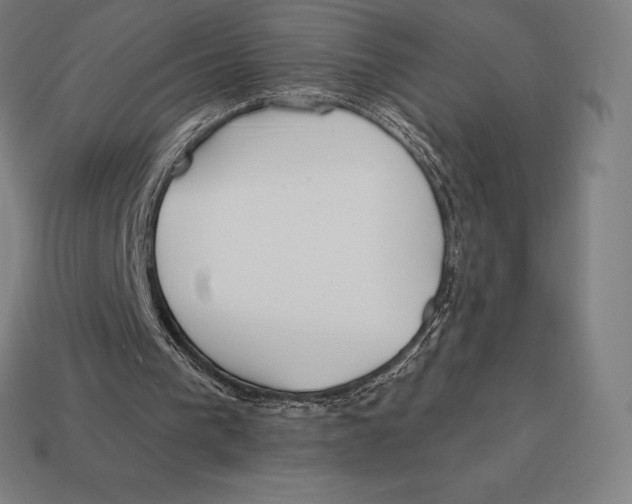 X0000113120193200909251120