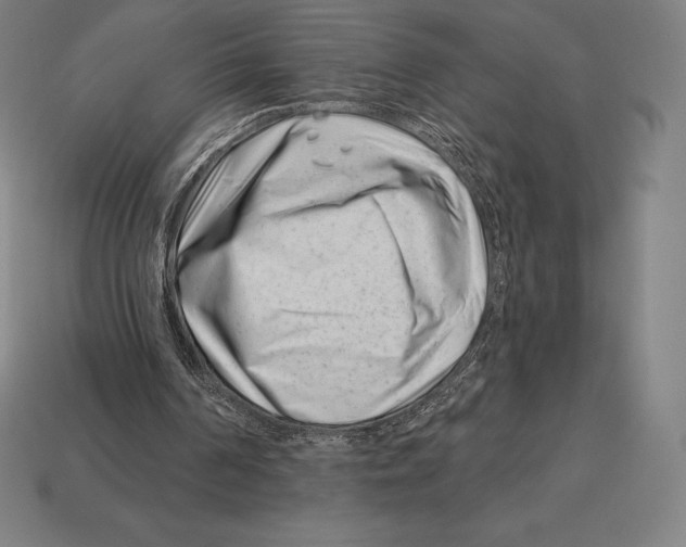X0000113120194200909251120
