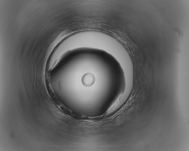 X0000113120195200909251120