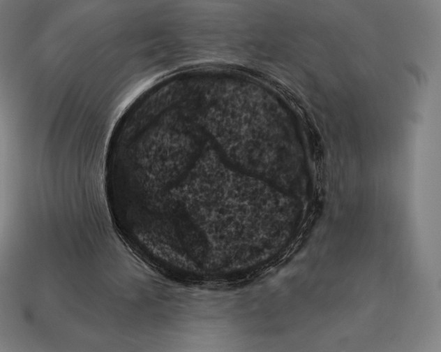 X0000113120196200909251120