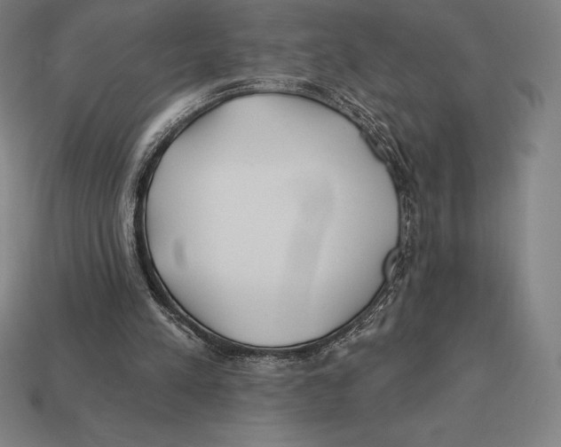 X0000113120197200909251120