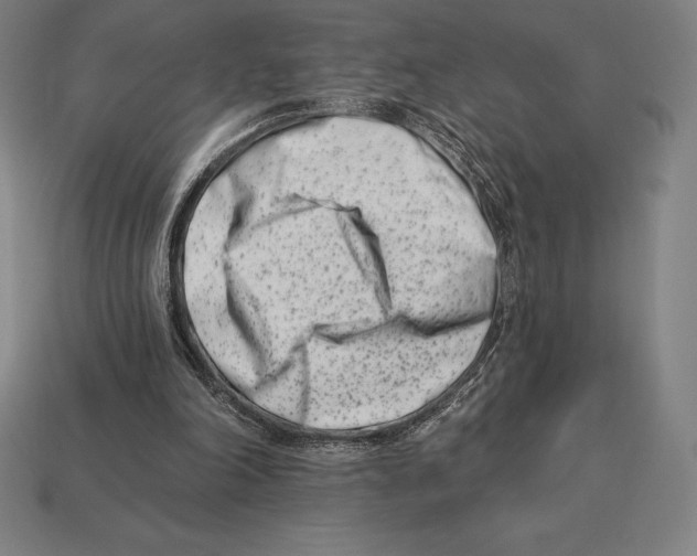 X0000113120198200909251120