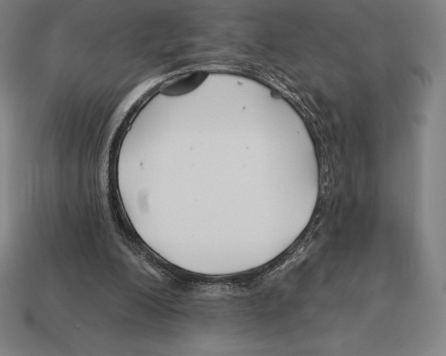 X0000113120200200909251120