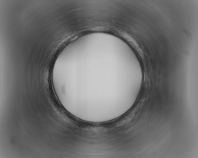 X0000113120201200909251120
