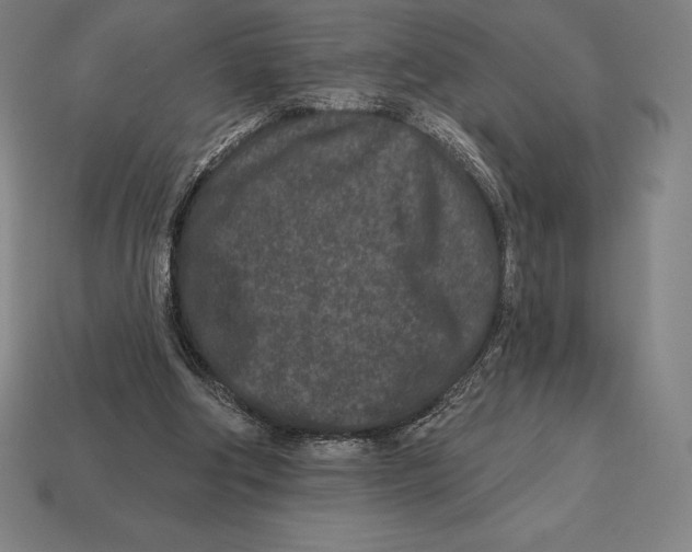 X0000113120202200909251120