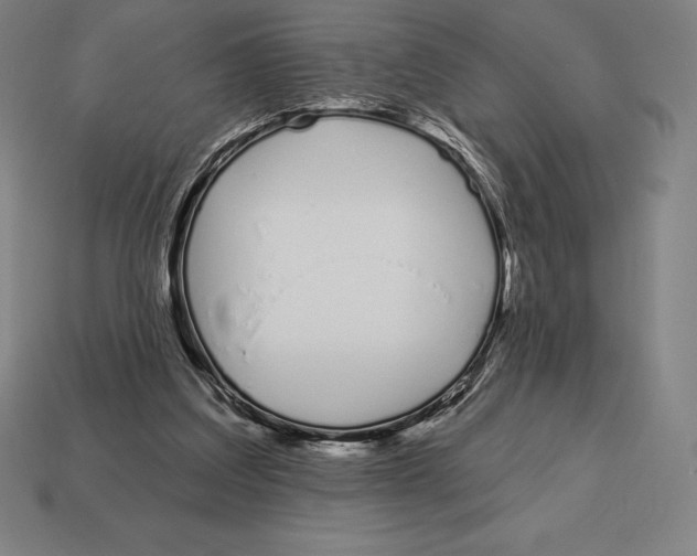 X0000113120203200909251120