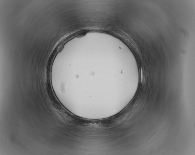 X0000113120204200909251120