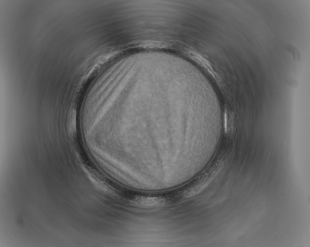 X0000113120205200909251120