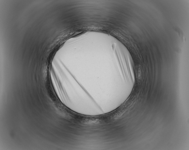 X0000113120206200909251120