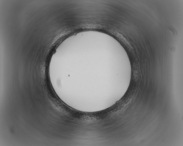 X0000113120207200909251119