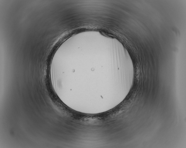 X0000113120208200909251119
