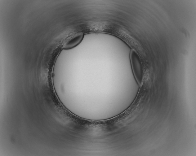X0000113120209200909251119