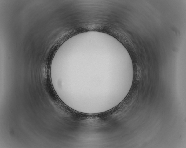 X0000113120210200909251119