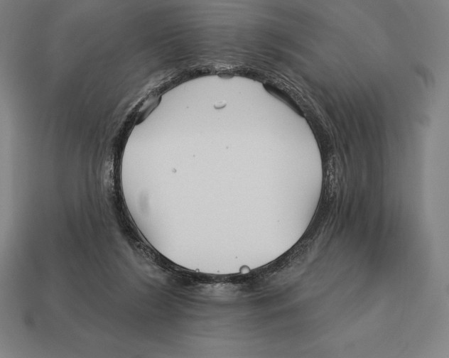 X0000113120212200909251119