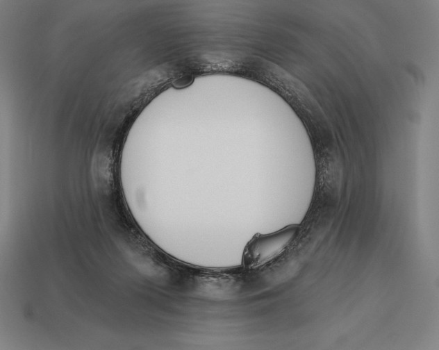 X0000113120215200909251119