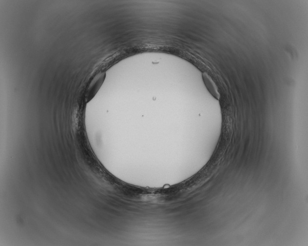 X0000113120216200909251119