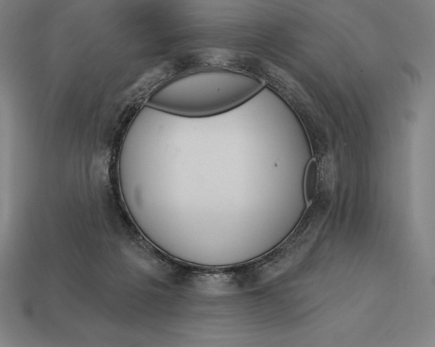 X0000113120217200909251119