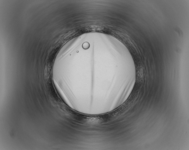 X0000113120218200909251119