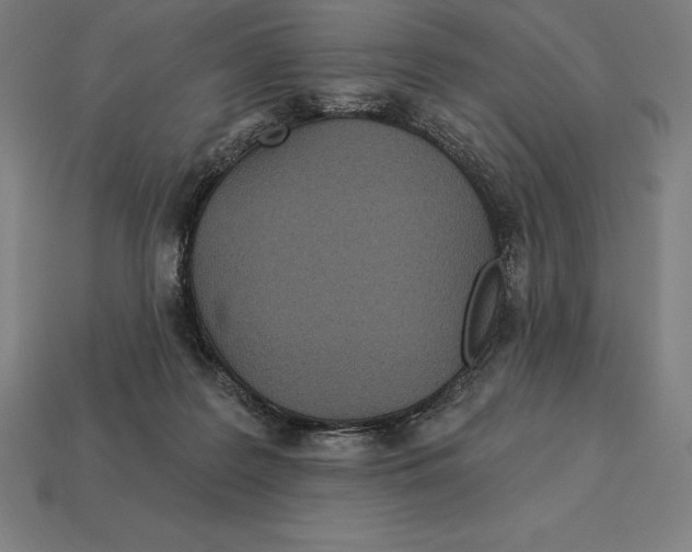 X0000113120219200909251119