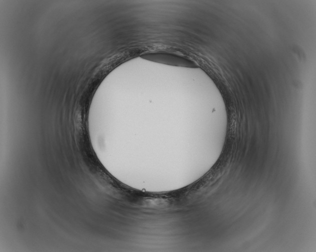 X0000113120220200909251119
