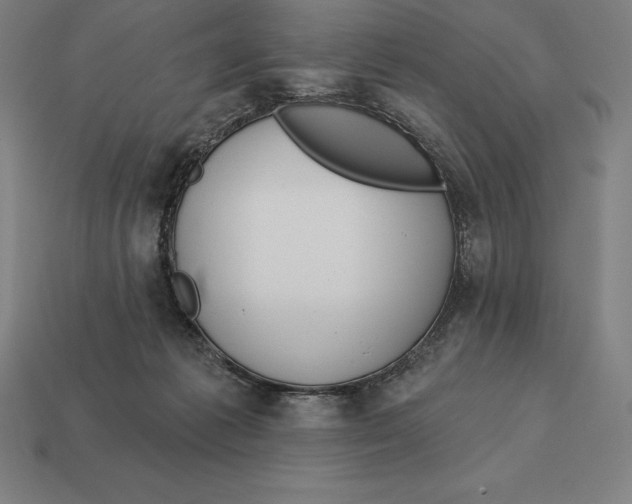 X0000113120221200909251119