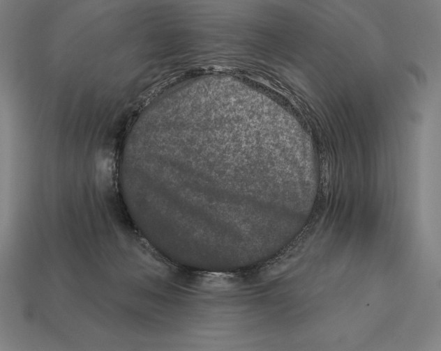 X0000113120222200909251119