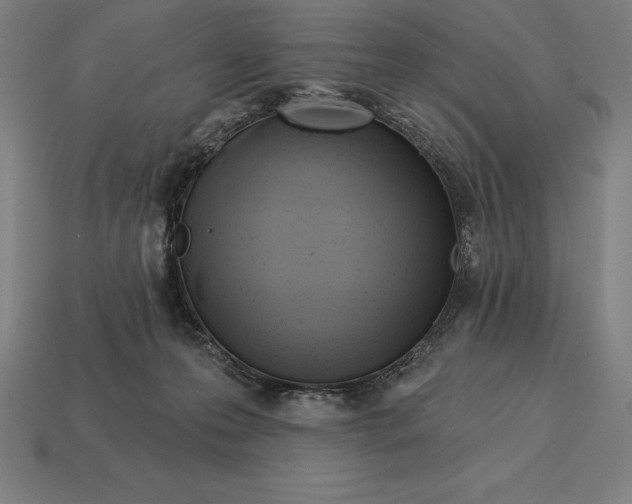 X0000113120223200909251119