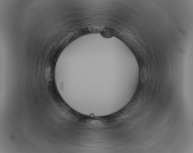 X0000113120224200909251119
