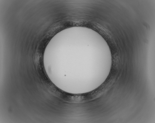 X0000113120225200909251119