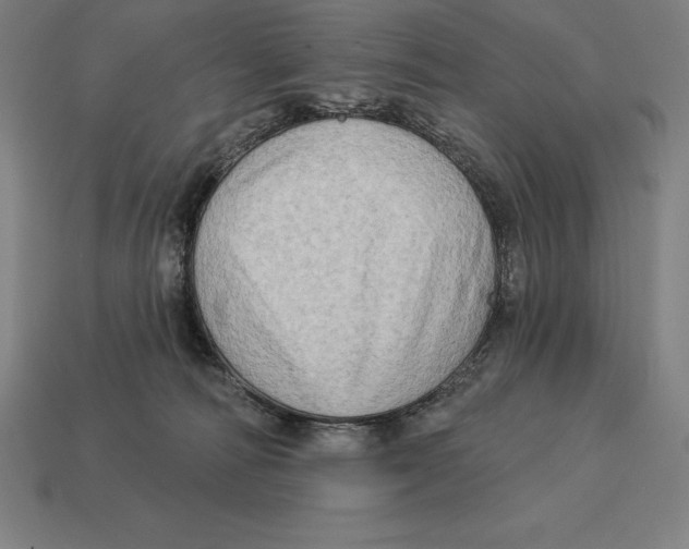 X0000113120226200909251119
