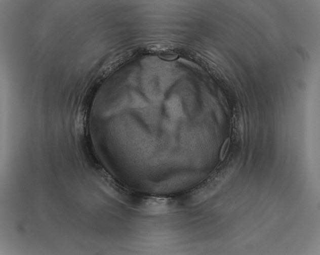 X0000113120227200909251119