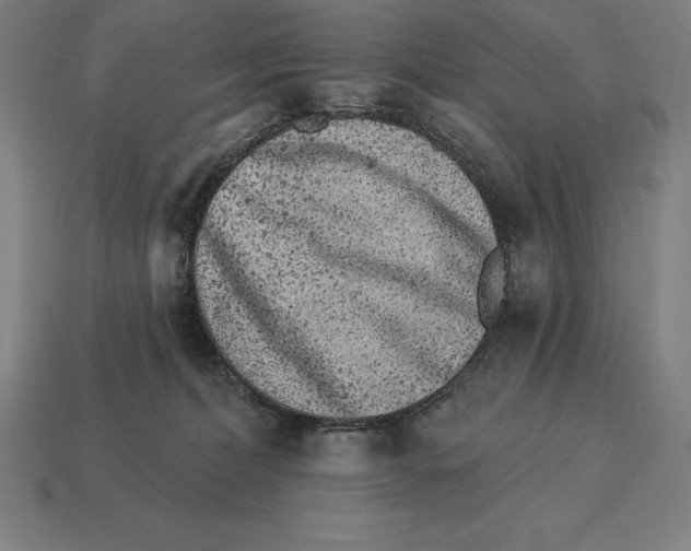 X0000113120228200909251119