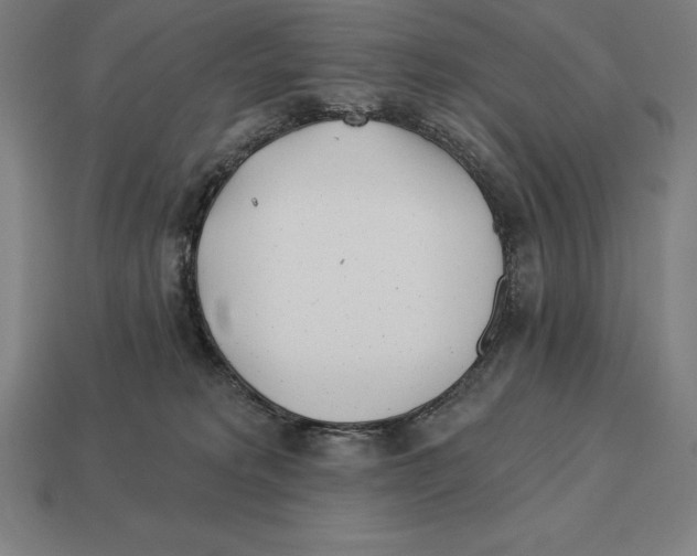 X0000113120229200909251119