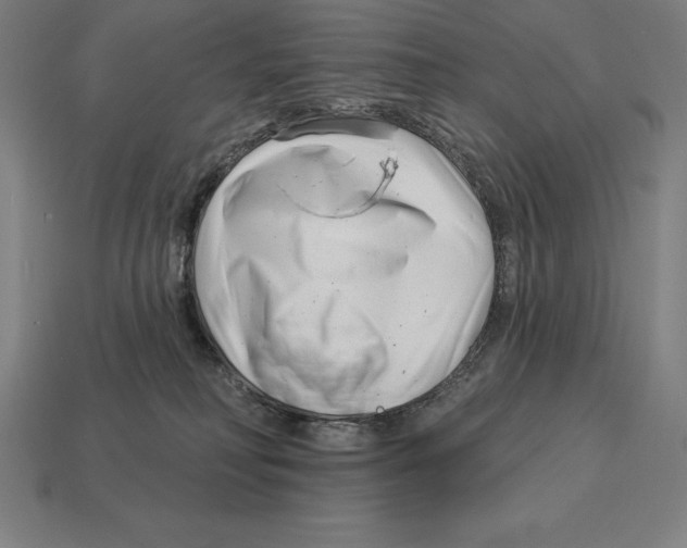 X0000113120230200909251119