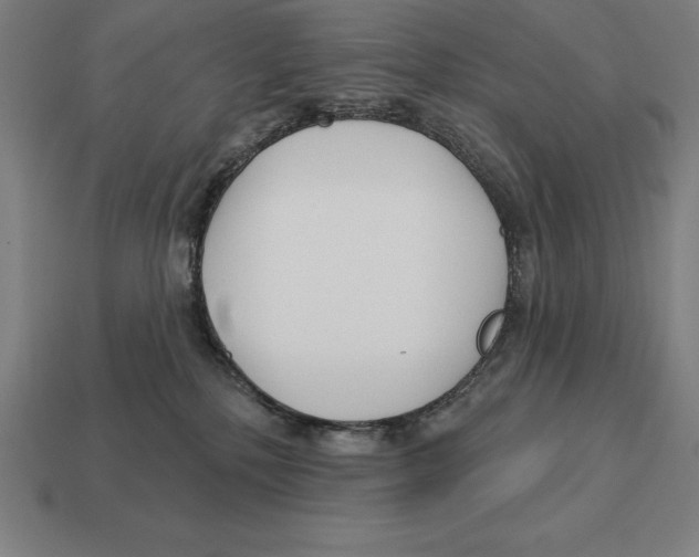 X0000113120232200909251119