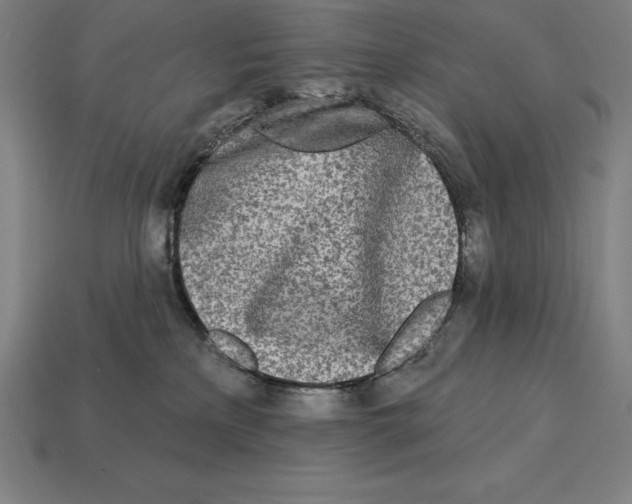 X0000113120233200909251119