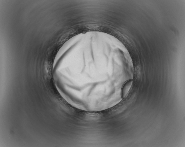 X0000113120234200909251119