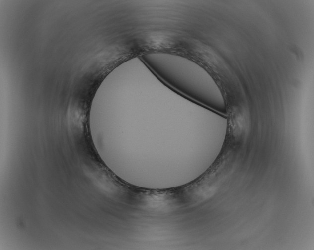 X0000113120235200909251119
