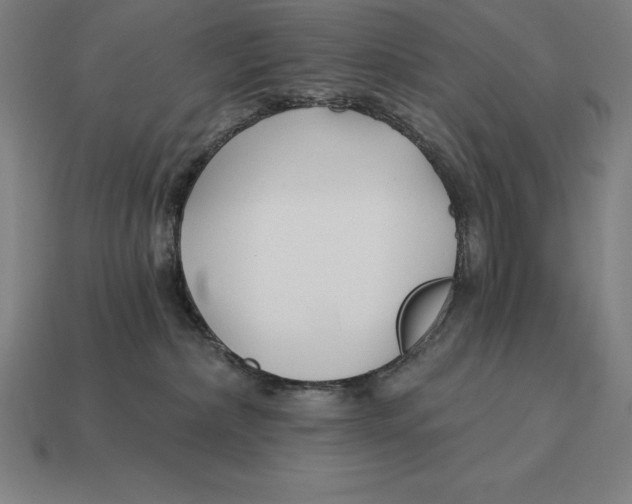 X0000113120236200909251119