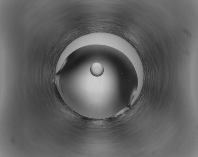 X0000113120237200909251119